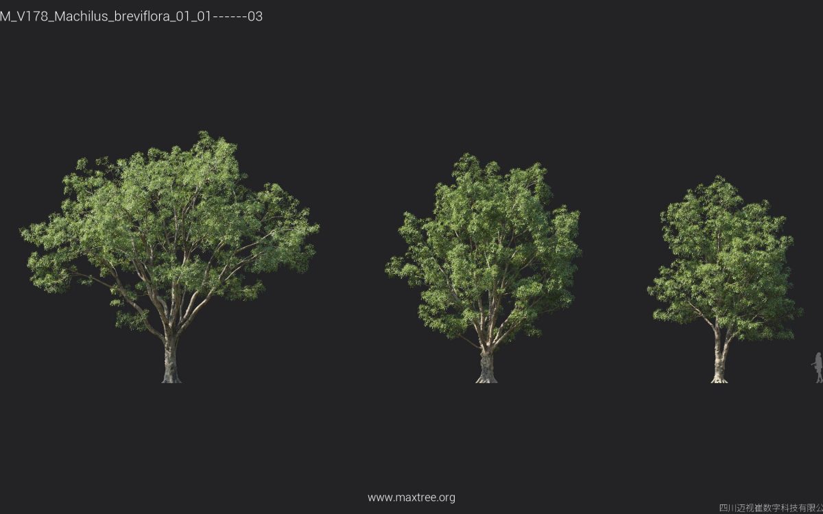 Plant Models Vol 178 - 图片 14