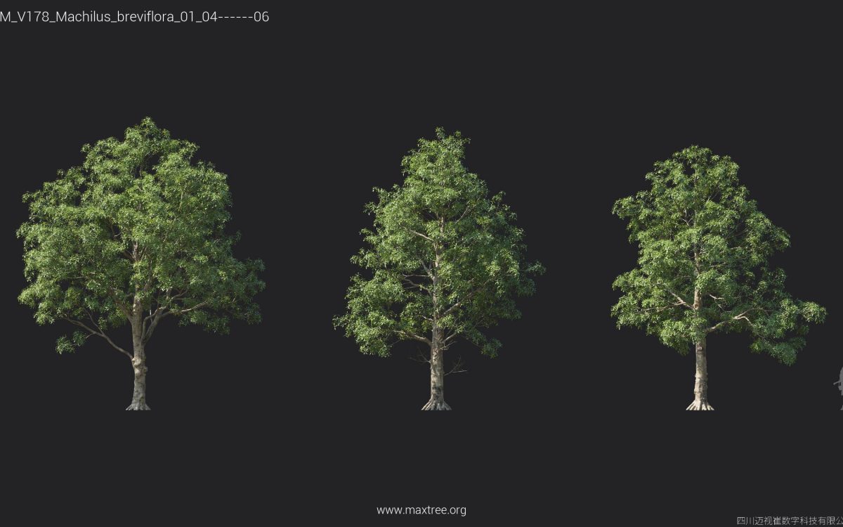 Plant Models Vol 178 - 图片 15
