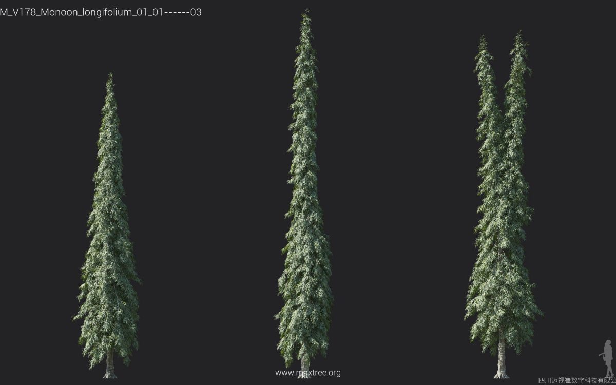 Plant Models Vol 178 - 图片 22