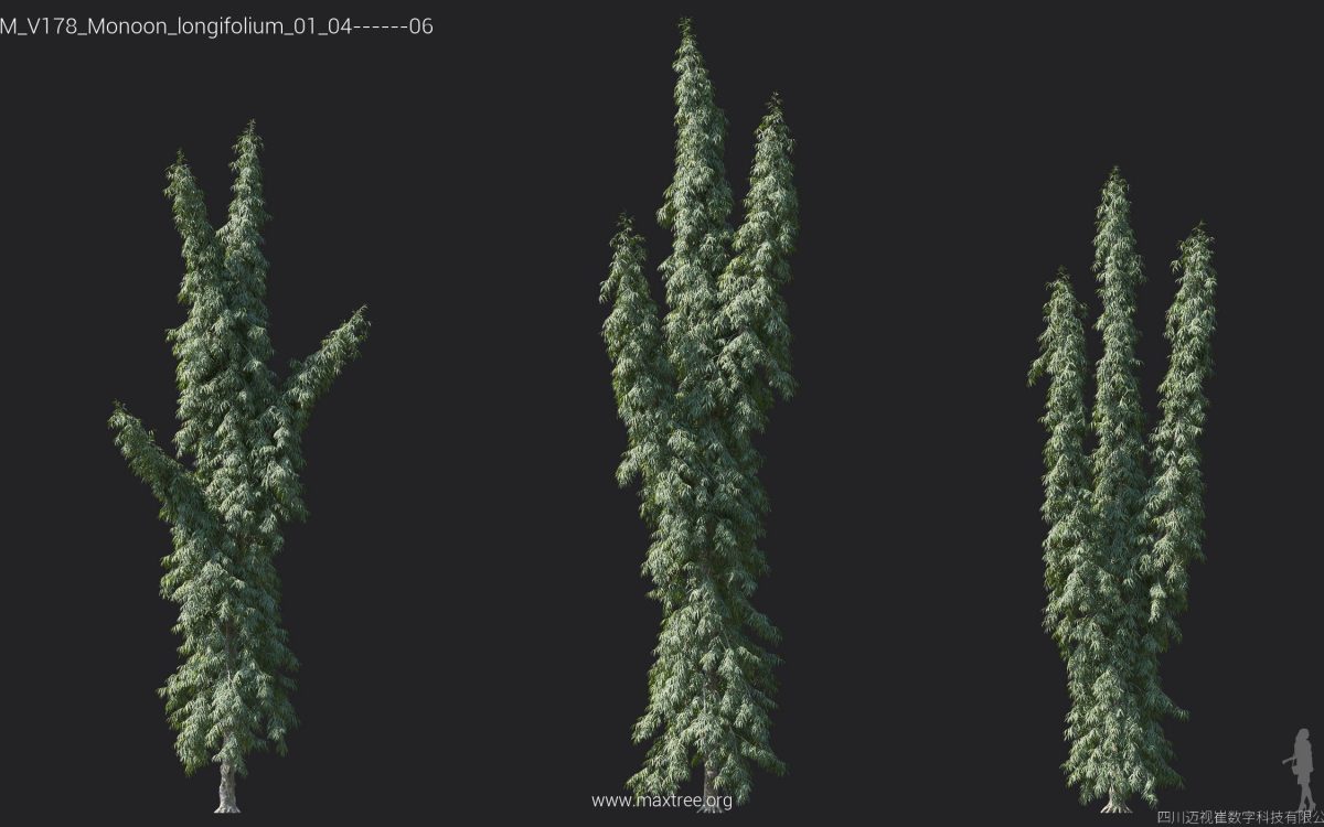Plant Models Vol 178 - 图片 23