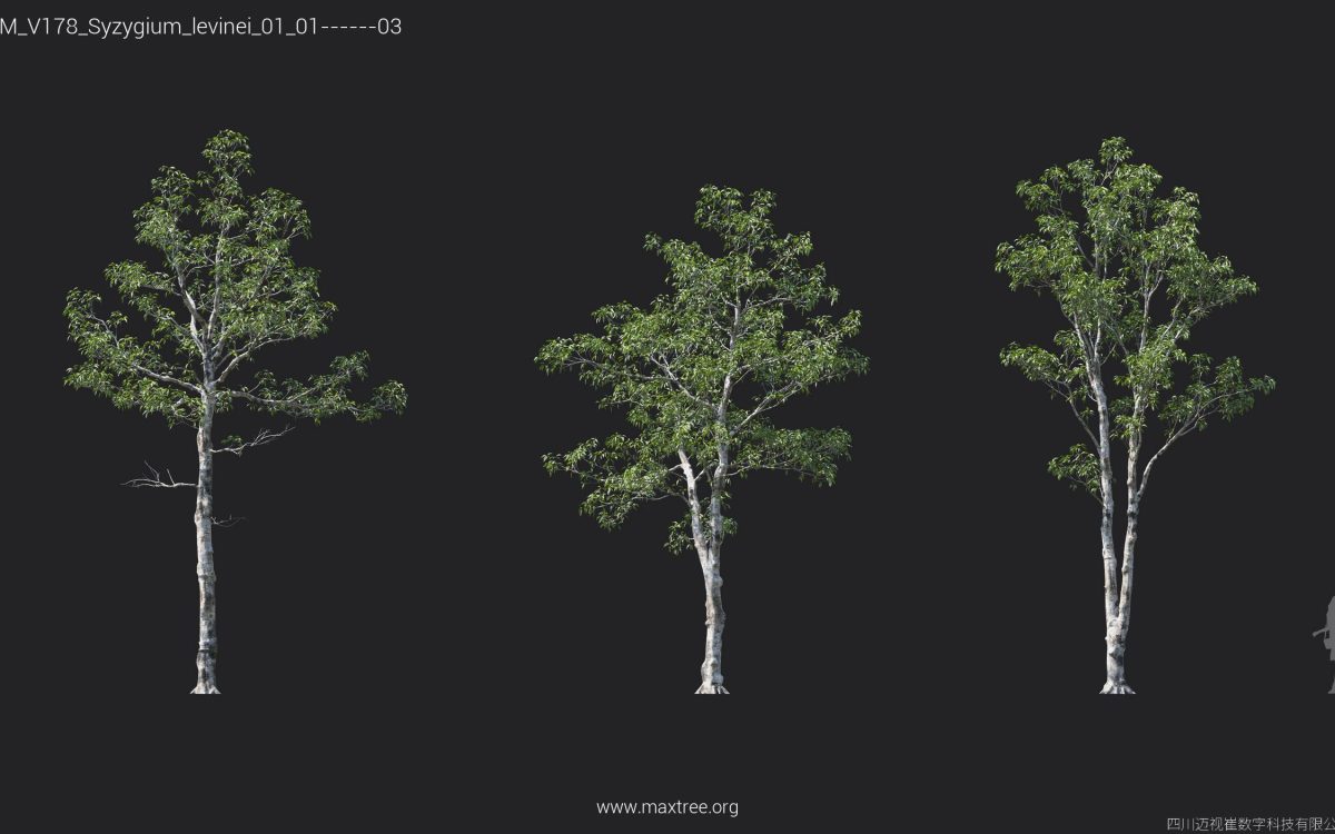 Plant Models Vol 178 - 图片 26