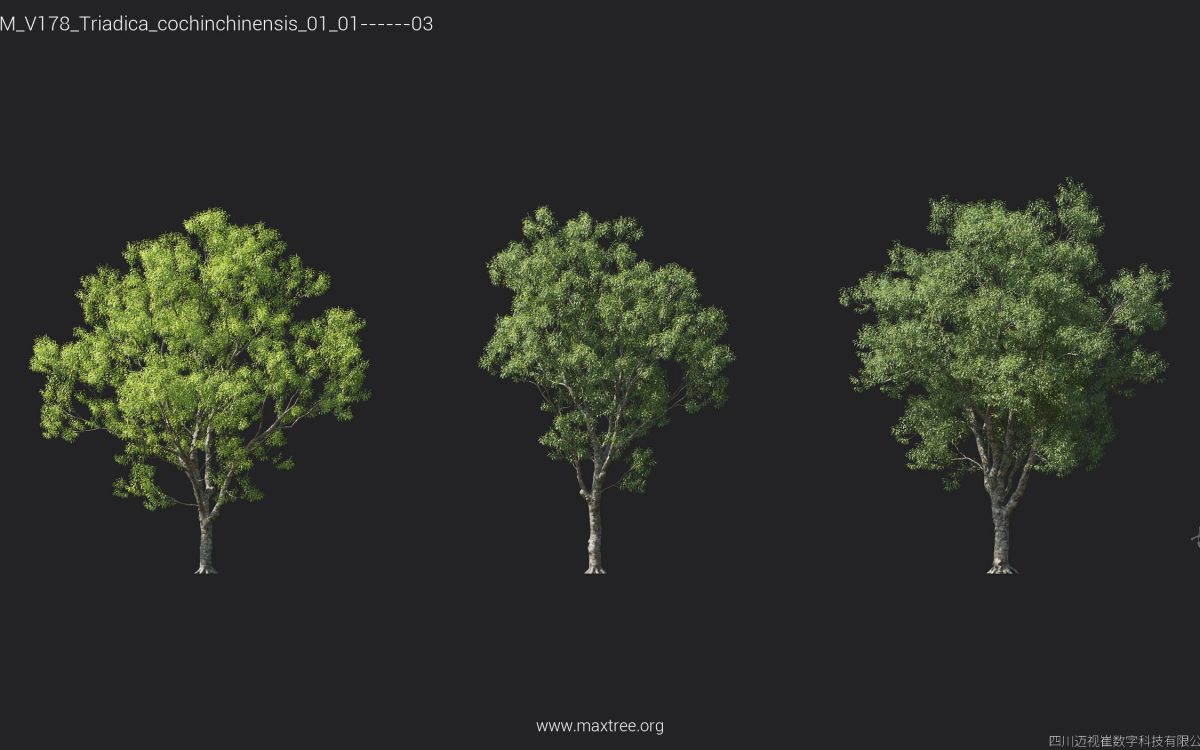 Plant Models Vol 178 - 图片 28