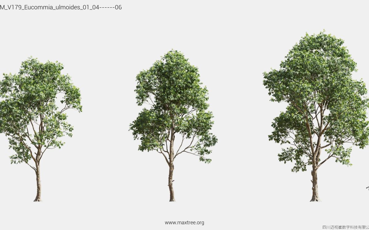 Plant Models Vol 179 - 图片 16