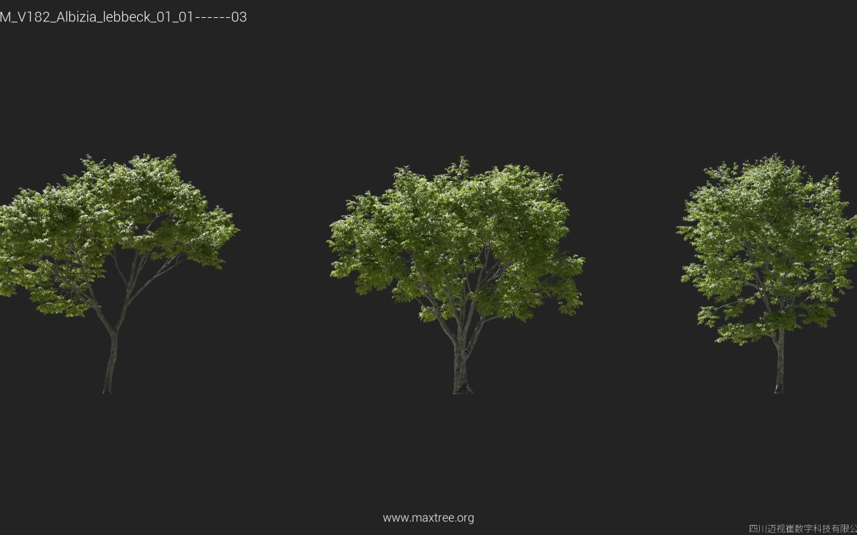 Plant Models Vol 182 - 图片 5