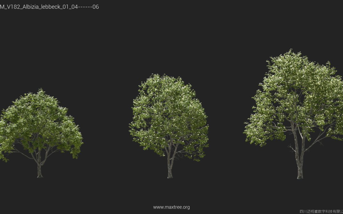 Plant Models Vol 182 - 图片 6