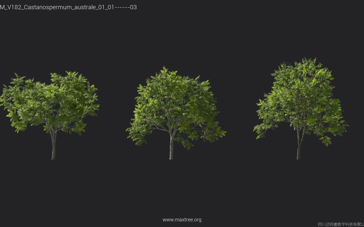 Plant Models Vol 182 - 图片 9
