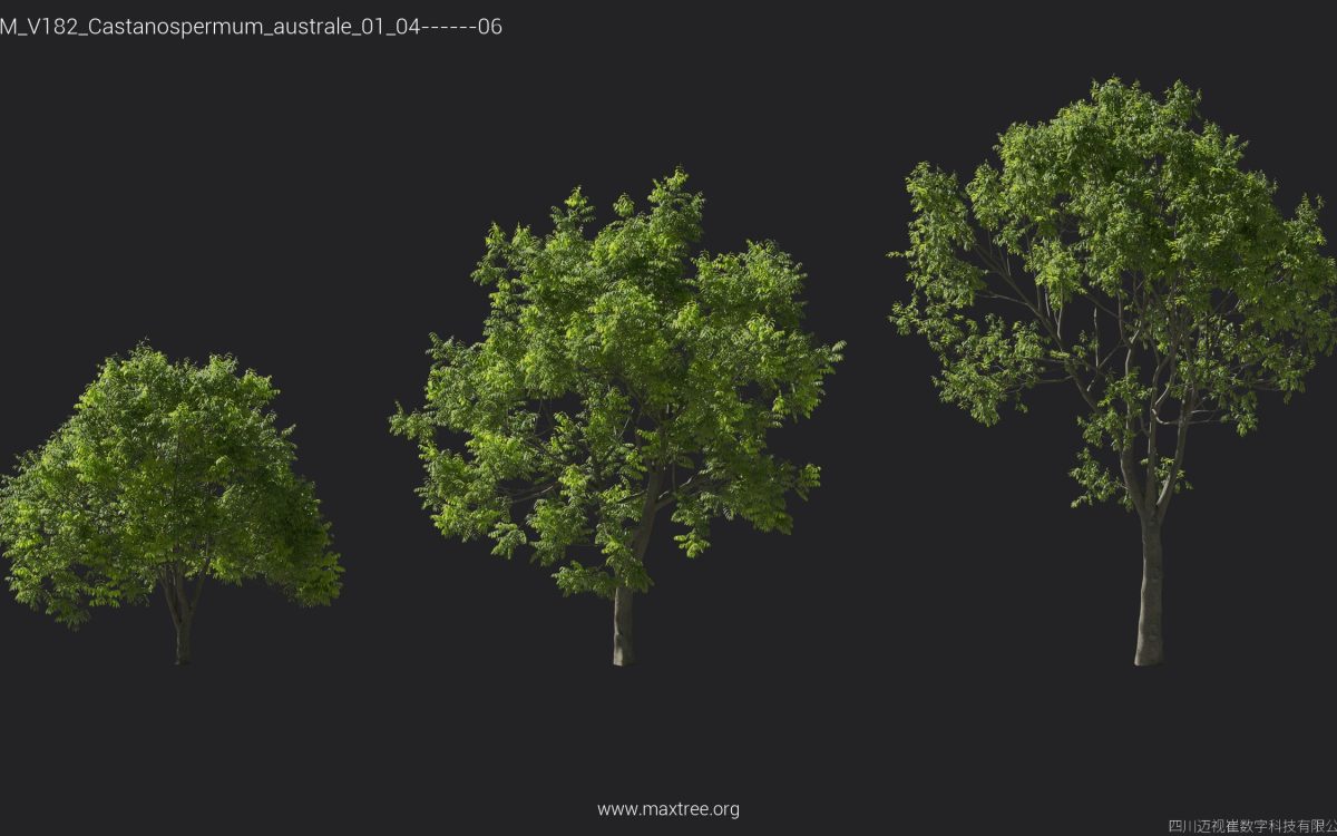 Plant Models Vol 182 - 图片 10