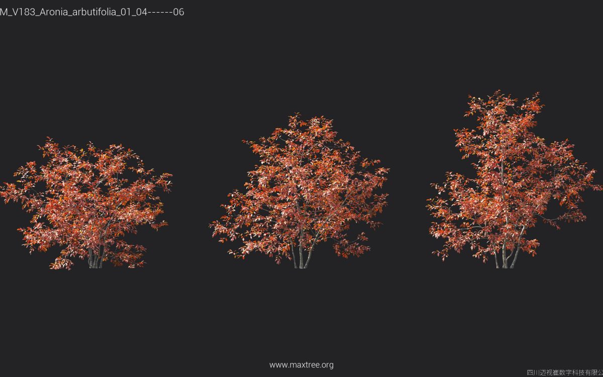 Plant Models Vol 183 - 图片 16