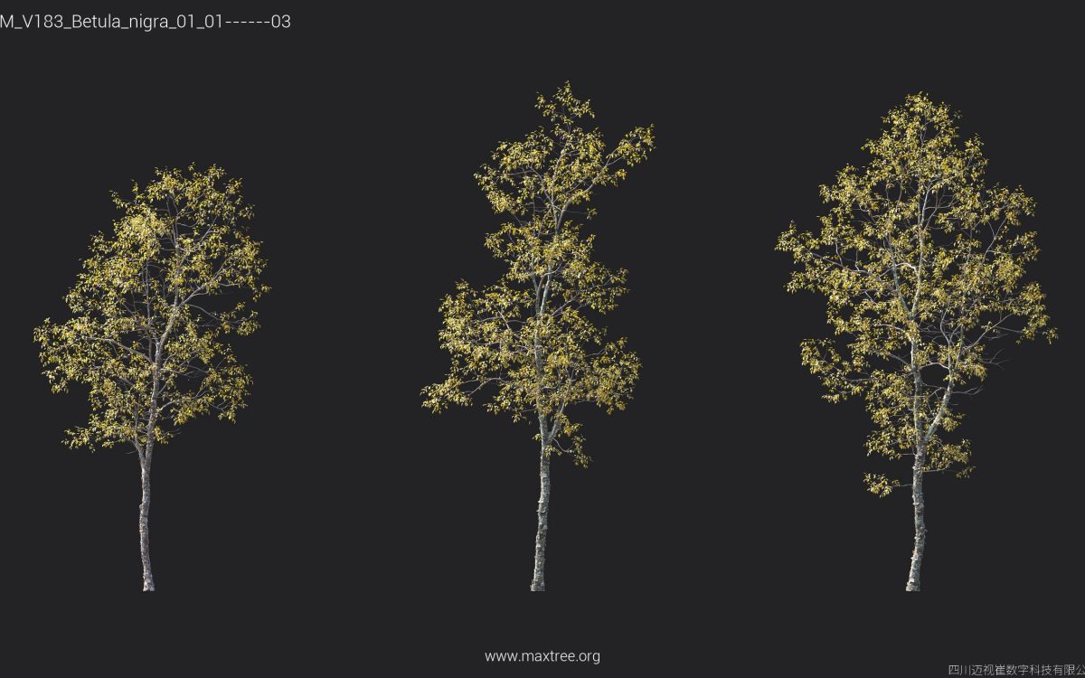 Plant Models Vol 183 - 图片 21