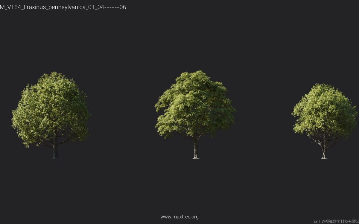 Plant Models Vol 184 - 图片 14
