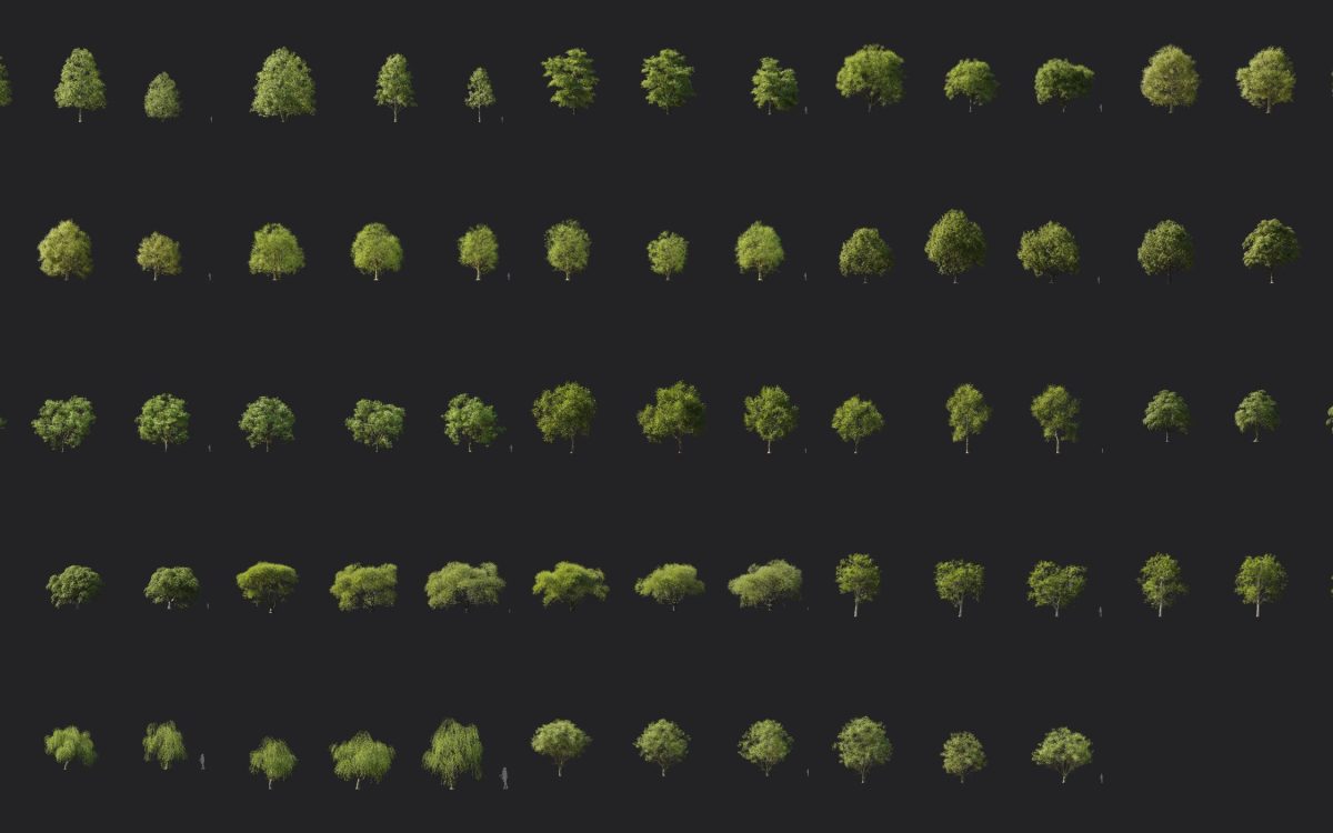 Plant Models Vol 184 - 图片 4