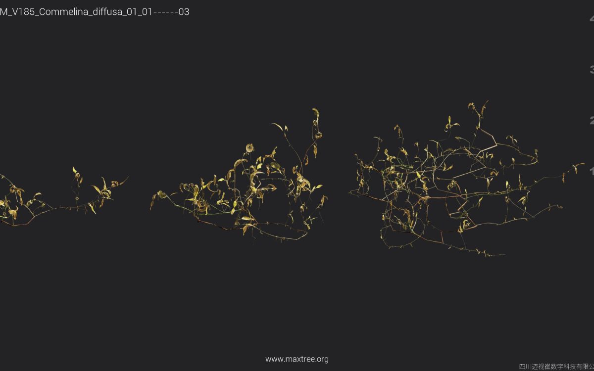 Plant Models Vol 185 - 图片 16
