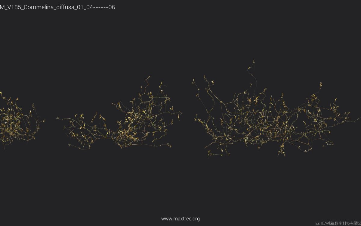 Plant Models Vol 185 - 图片 17