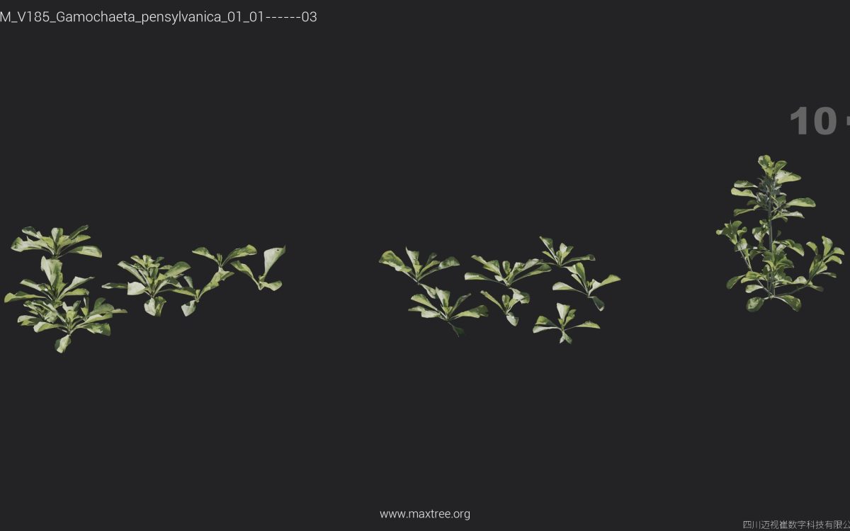 Plant Models Vol 185 - 图片 18