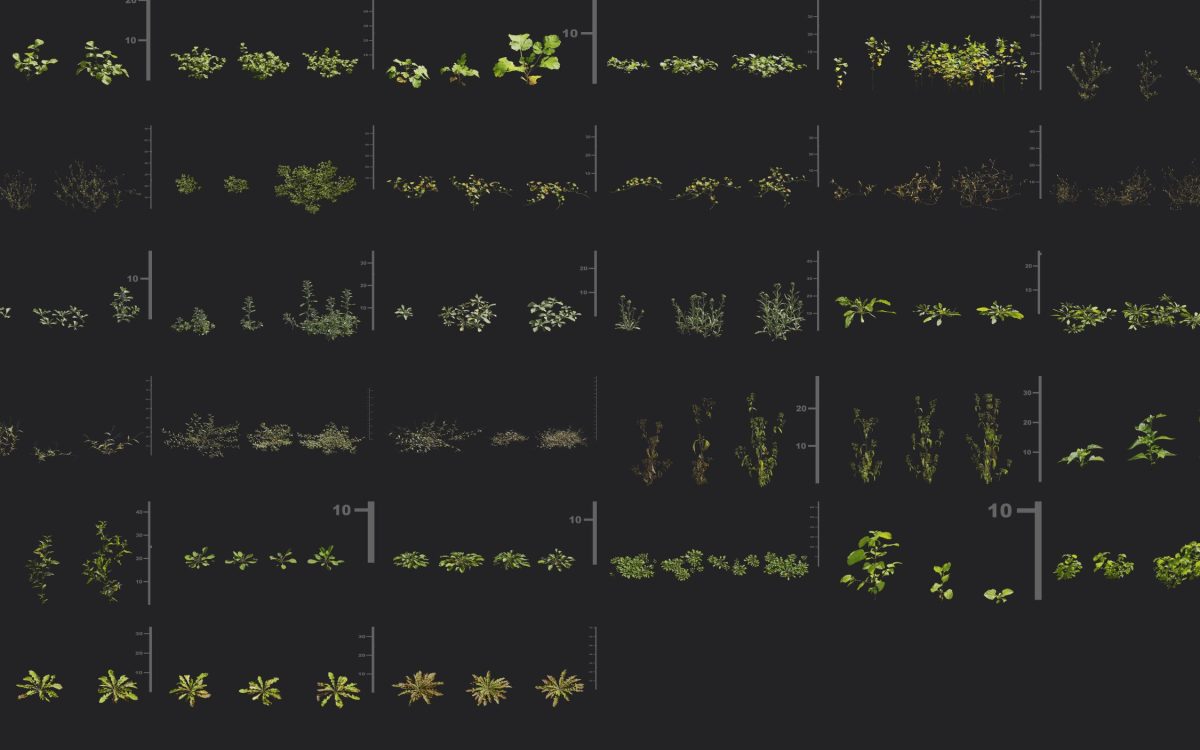 Plant Models Vol 185 - 图片 5
