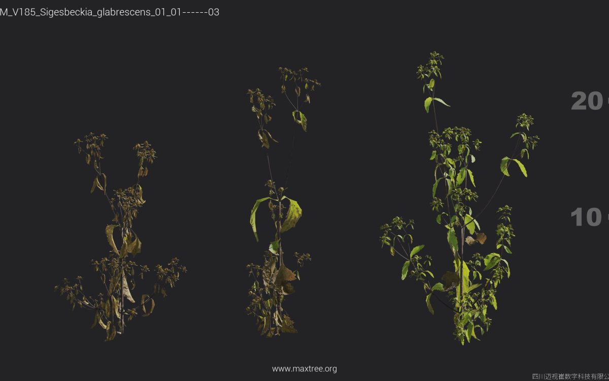 Plant Models Vol 185 - 图片 27