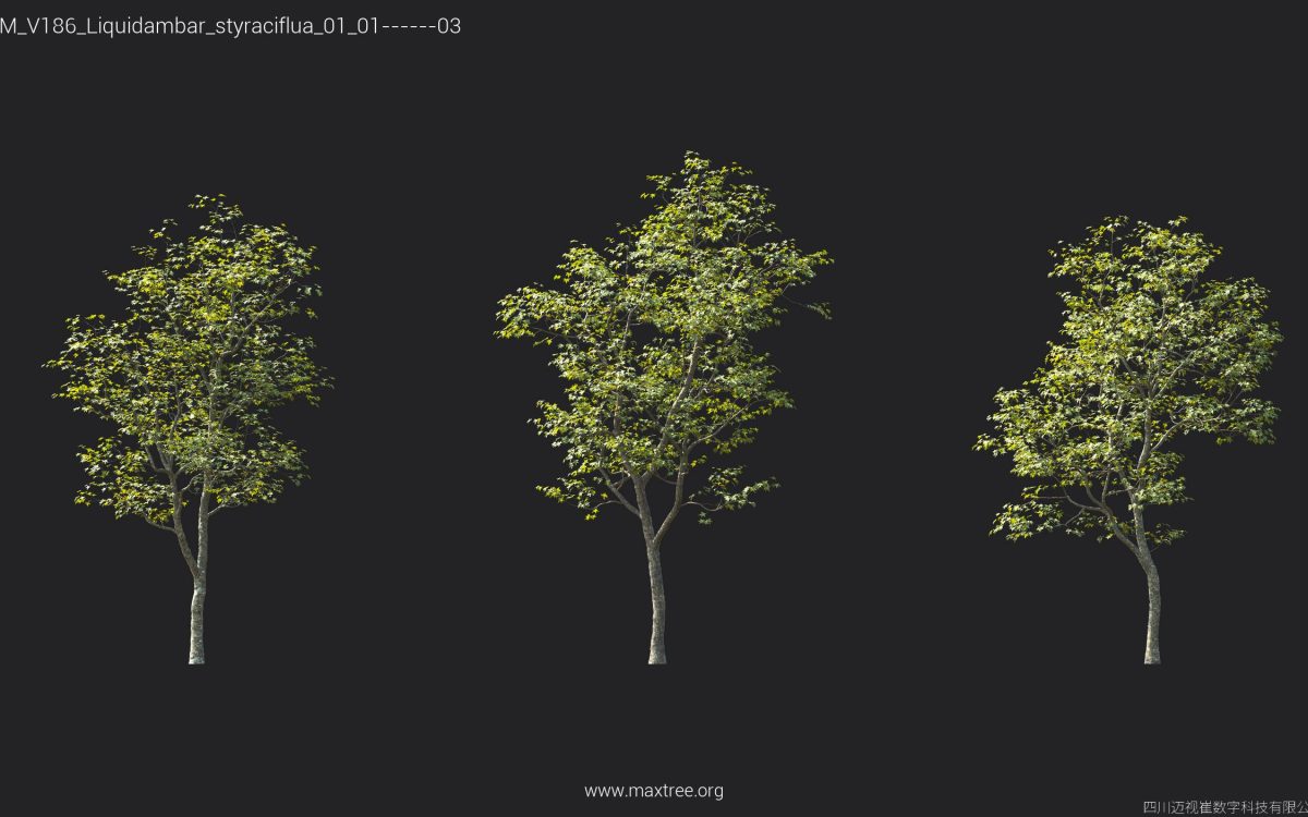 Plant Models Vol 186 - 图片 27