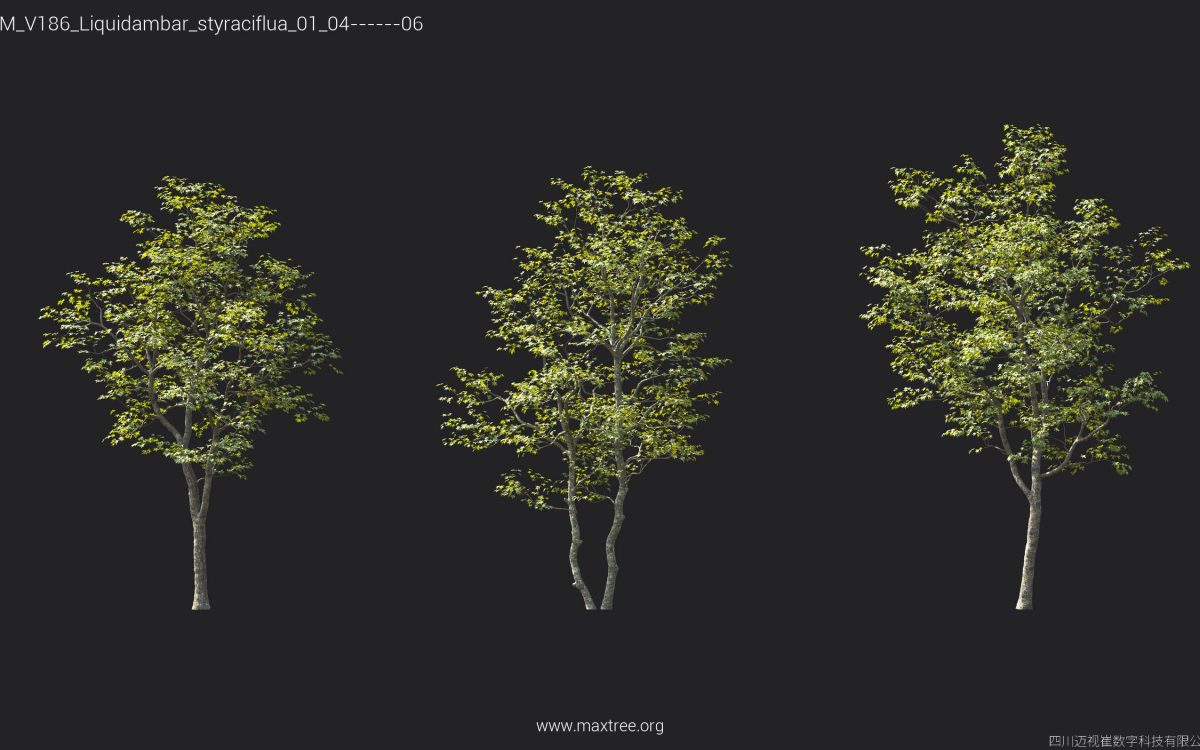 Plant Models Vol 186 - 图片 28