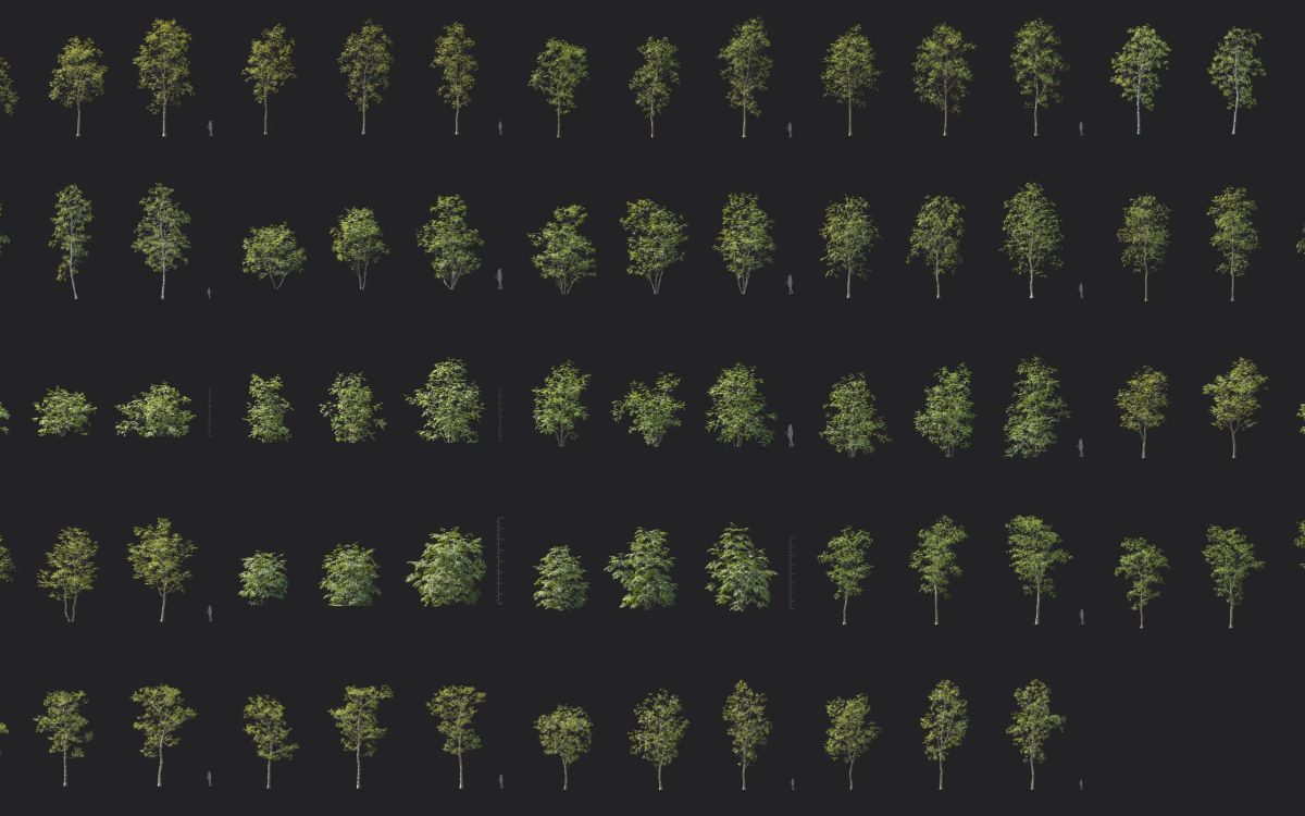 Plant Models Vol 186 - 图片 5