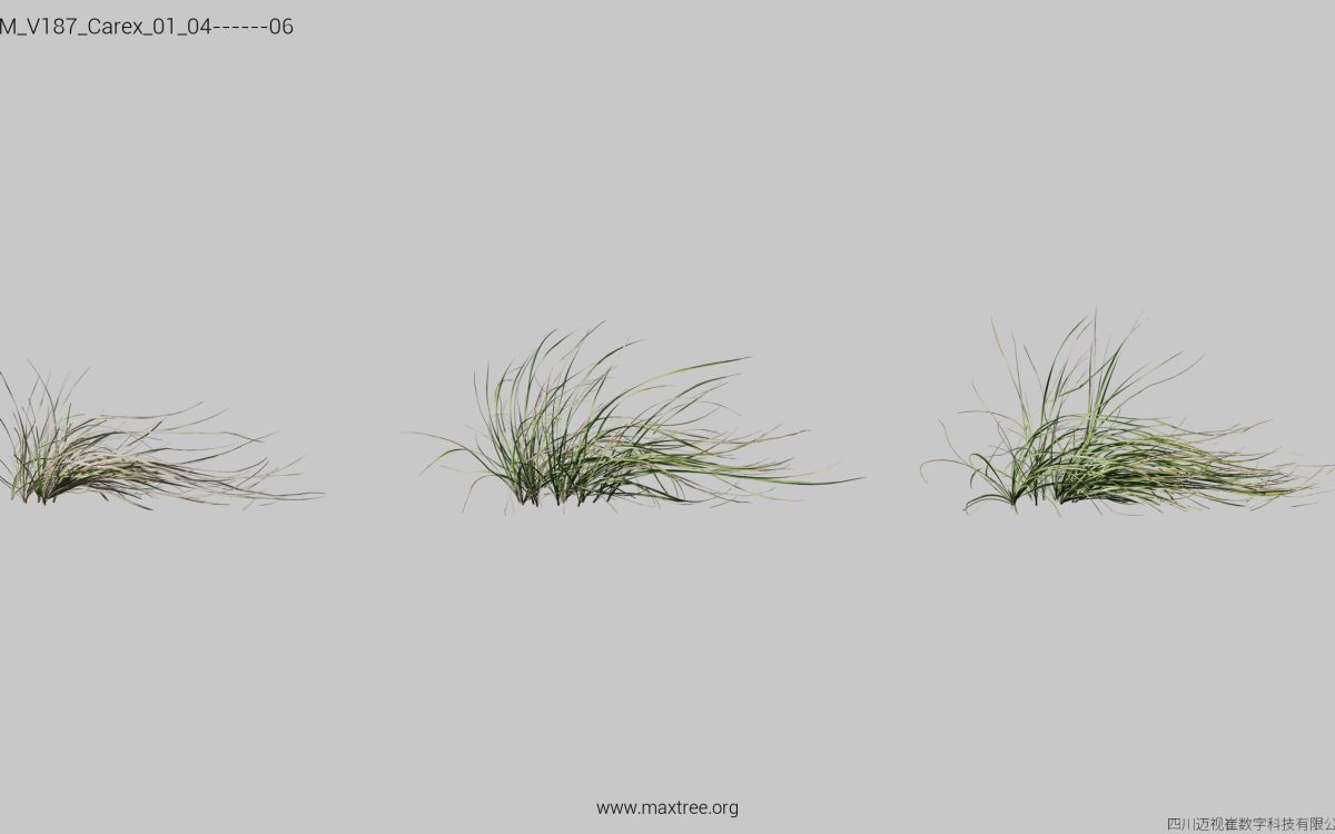 Plant Models Vol 187 - 图片 7