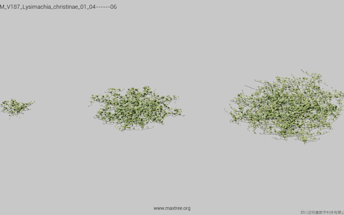 Plant Models Vol 187 - 图片 23