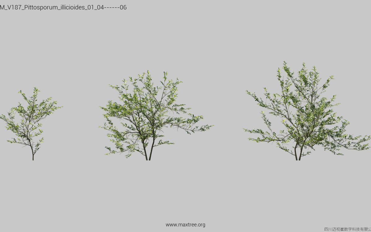 Plant Models Vol 187 - 图片 25