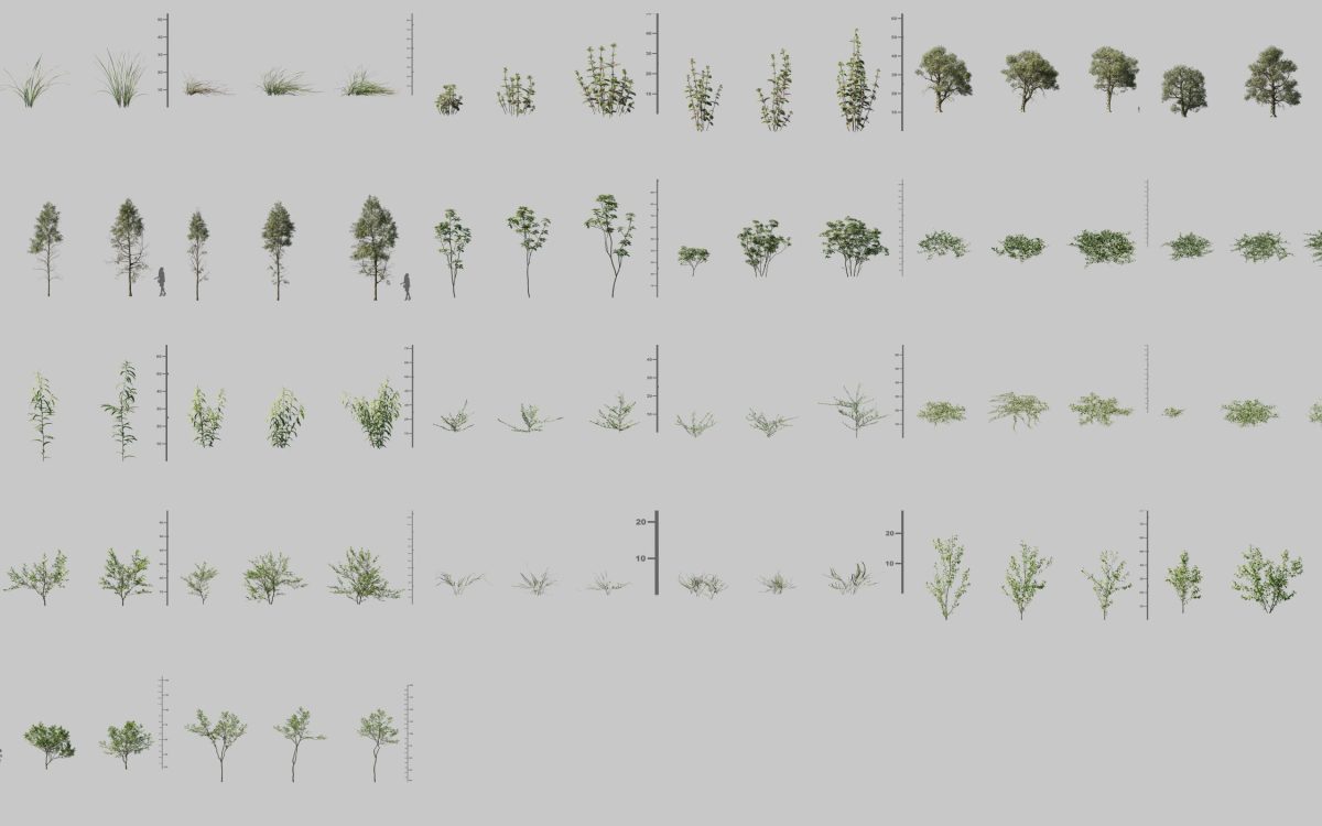 Plant Models Vol 187 - 图片 5