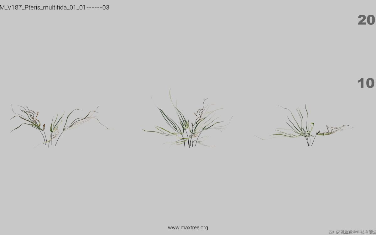 Plant Models Vol 187 - 图片 26