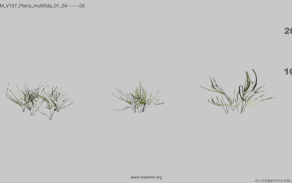 Plant Models Vol 187 - 图片 27