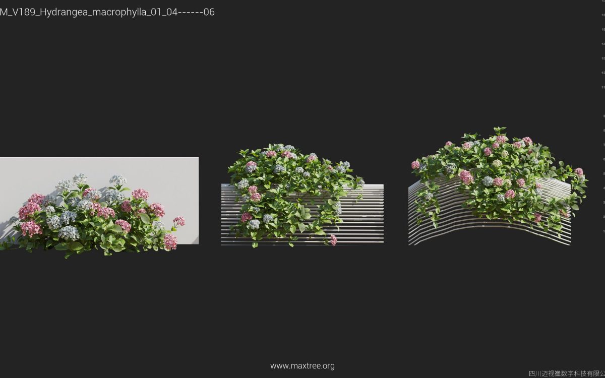 Plant Models Vol 189 - 图片 22