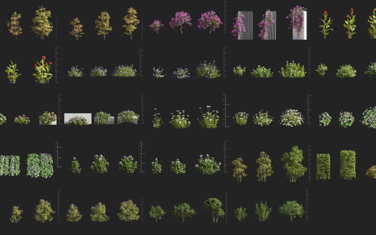Plant Models Vol 189 - 图片 5