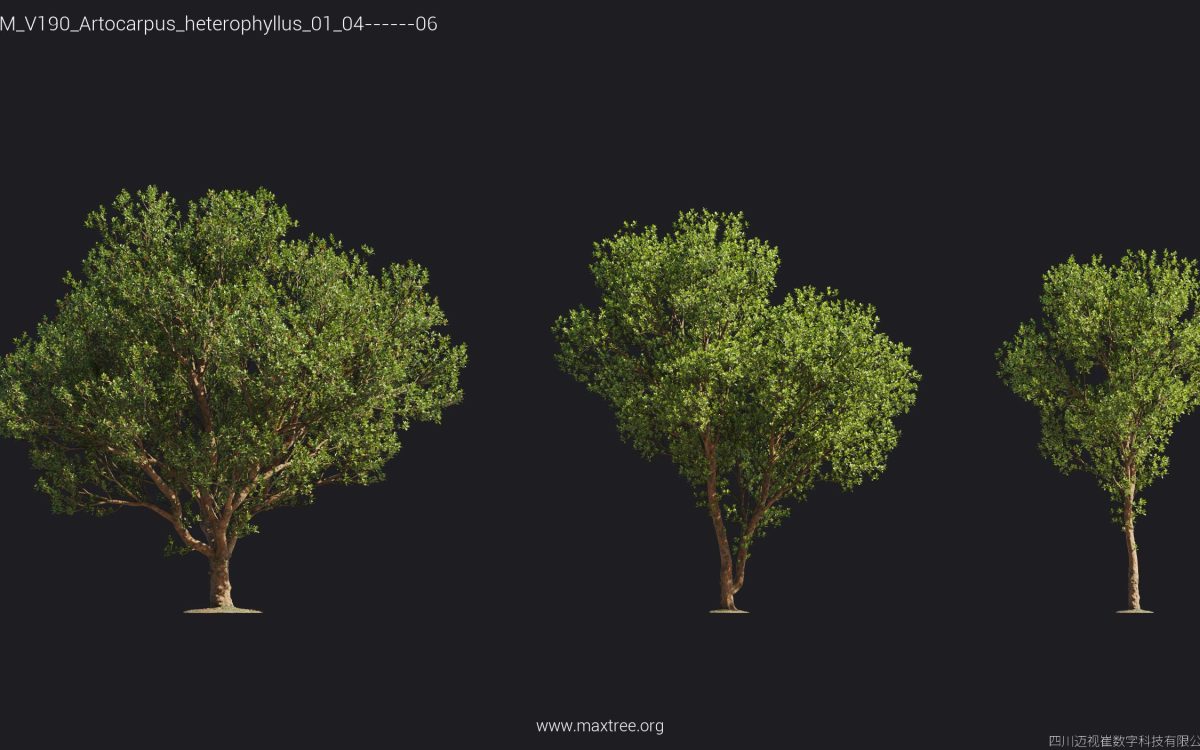 Plant Models Vol 190 - 图片 11