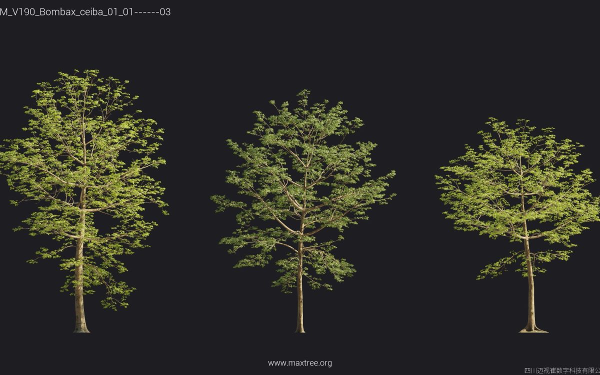 Plant Models Vol 190 - 图片 26