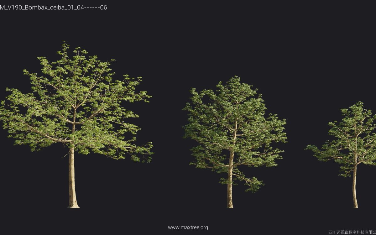 Plant Models Vol 190 - 图片 27