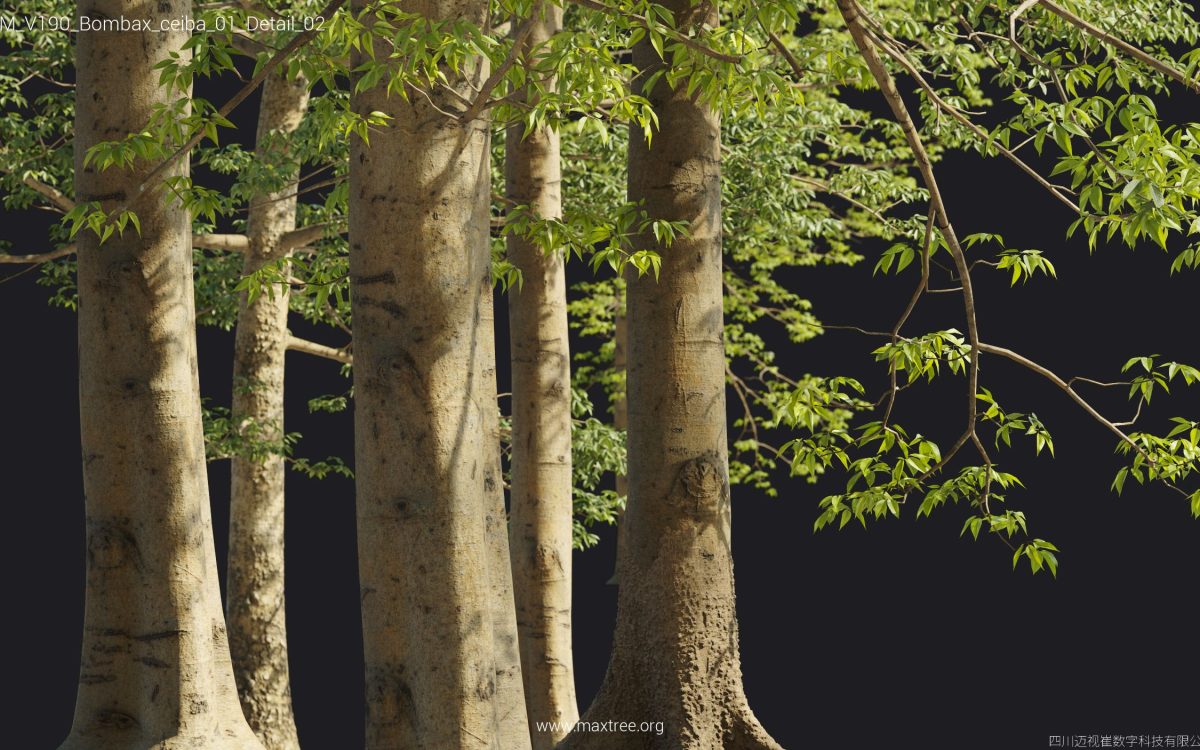 Plant Models Vol 190 - 图片 29