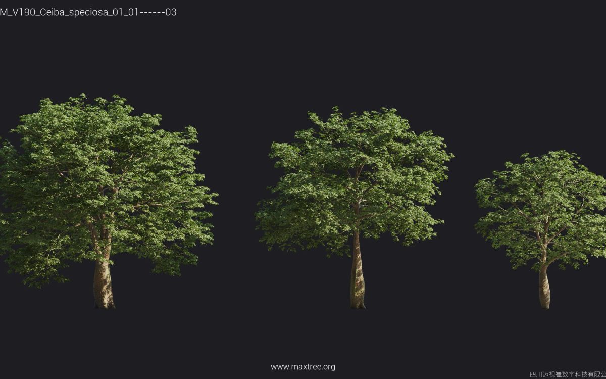 Plant Models Vol 190 - 图片 30