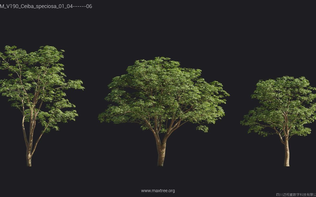 Plant Models Vol 190 - 图片 31