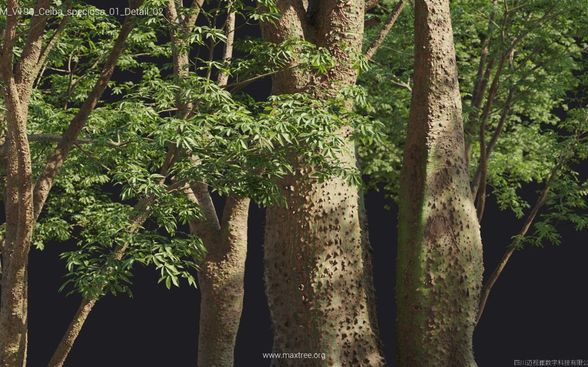 Plant Models Vol 190 - 图片 33
