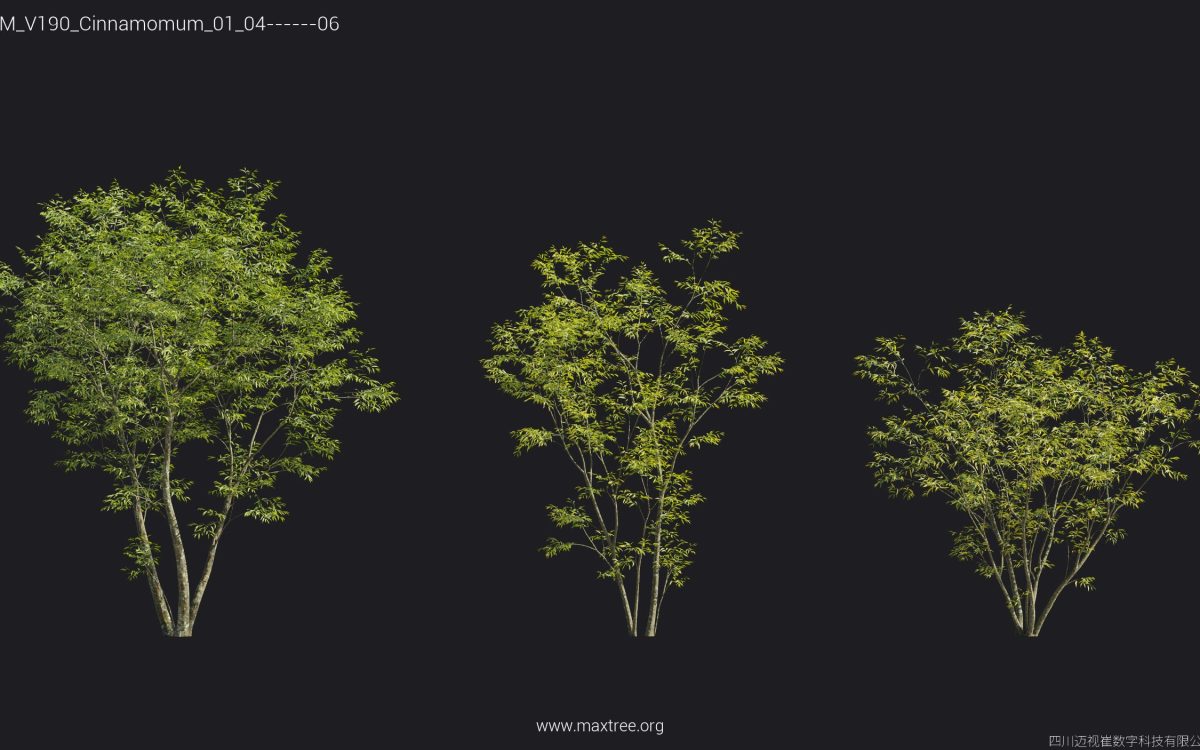 Plant Models Vol 190 - 图片 39