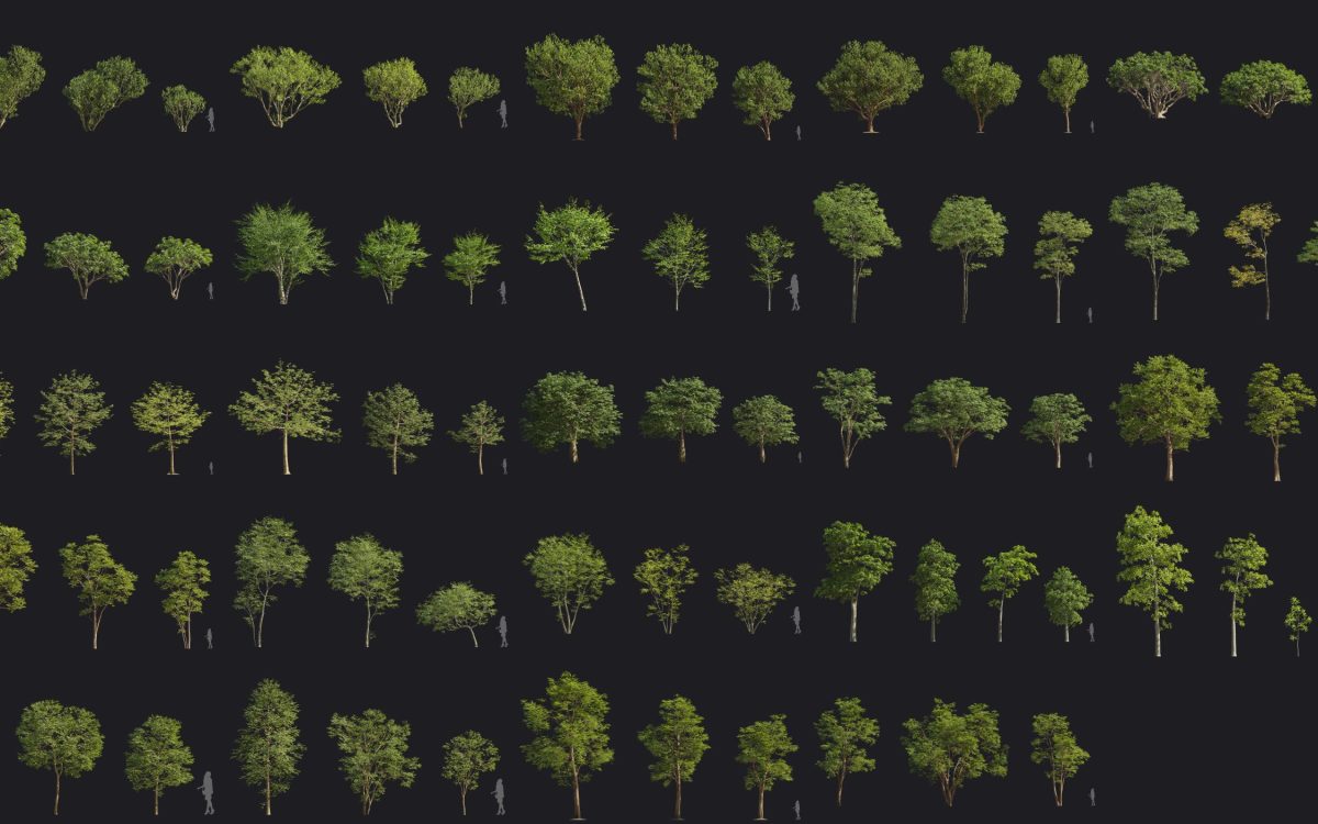 Plant Models Vol 190 - 图片 5