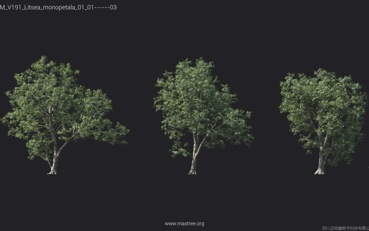 Plant Models Vol 191 - 图片 14