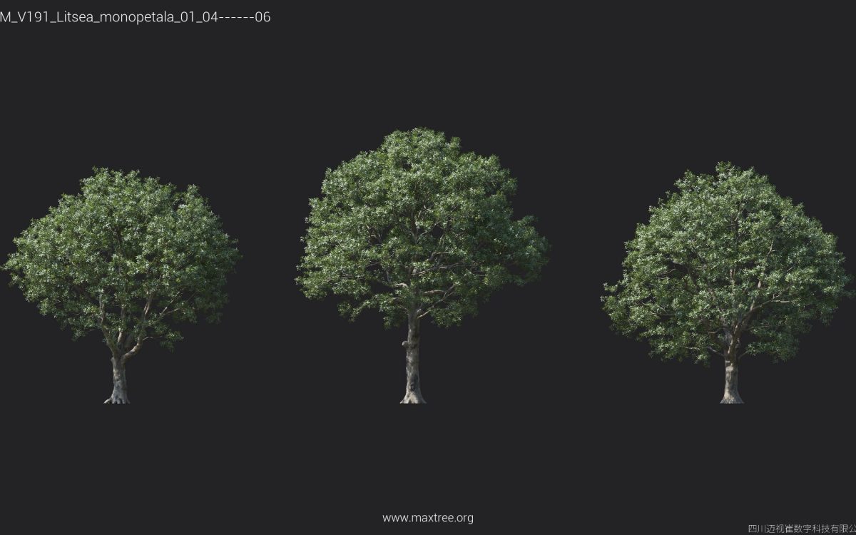 Plant Models Vol 191 - 图片 15