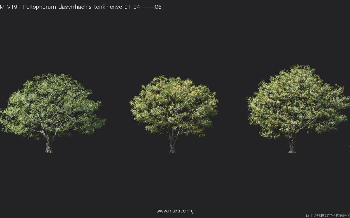 Plant Models Vol 191 - 图片 17