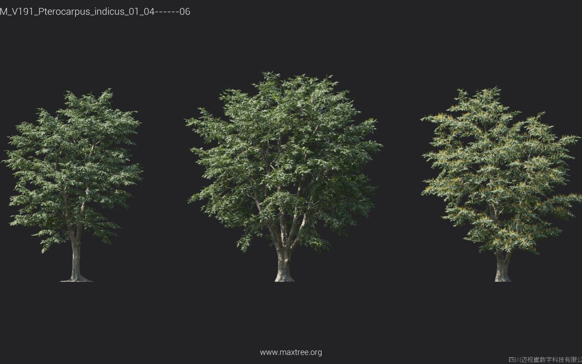 Plant Models Vol 191 - 图片 19