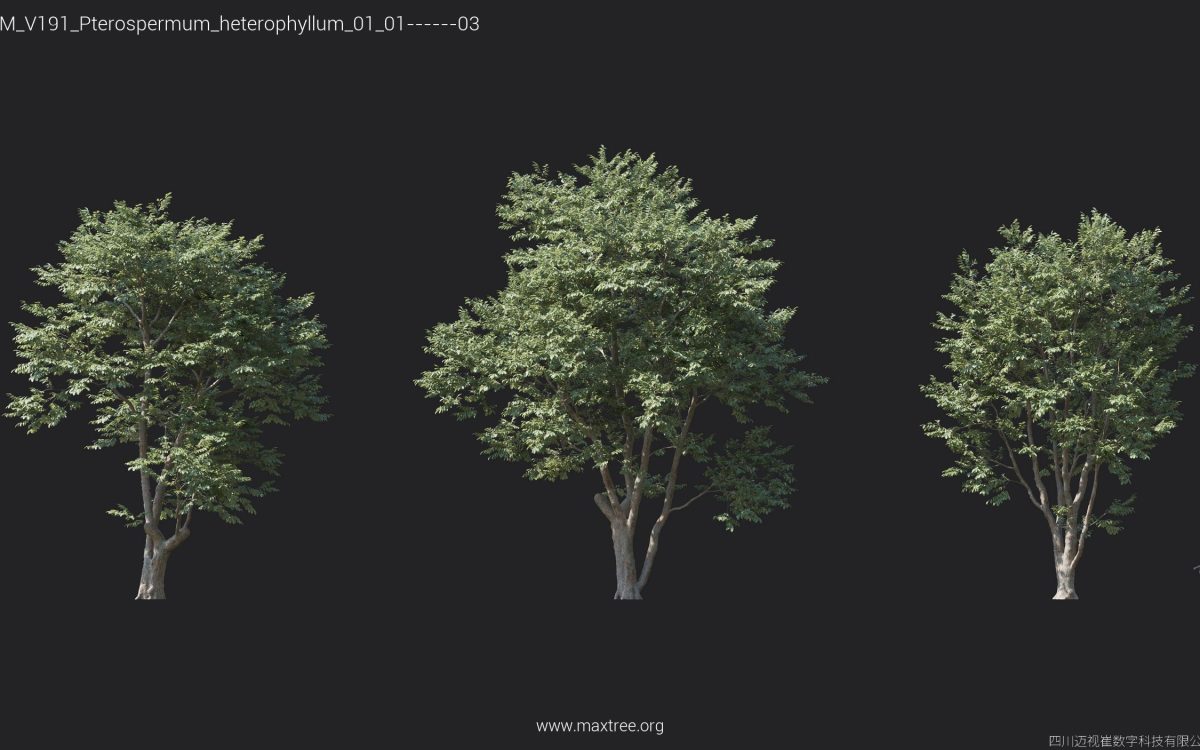 Plant Models Vol 191 - 图片 20
