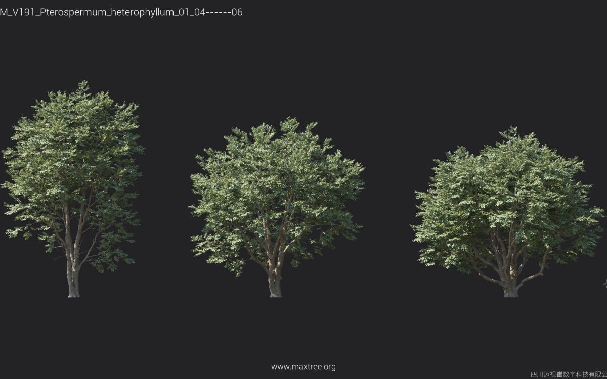 Plant Models Vol 191 - 图片 21