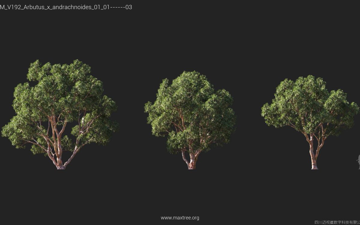 Plant Models Vol 192 - 图片 14