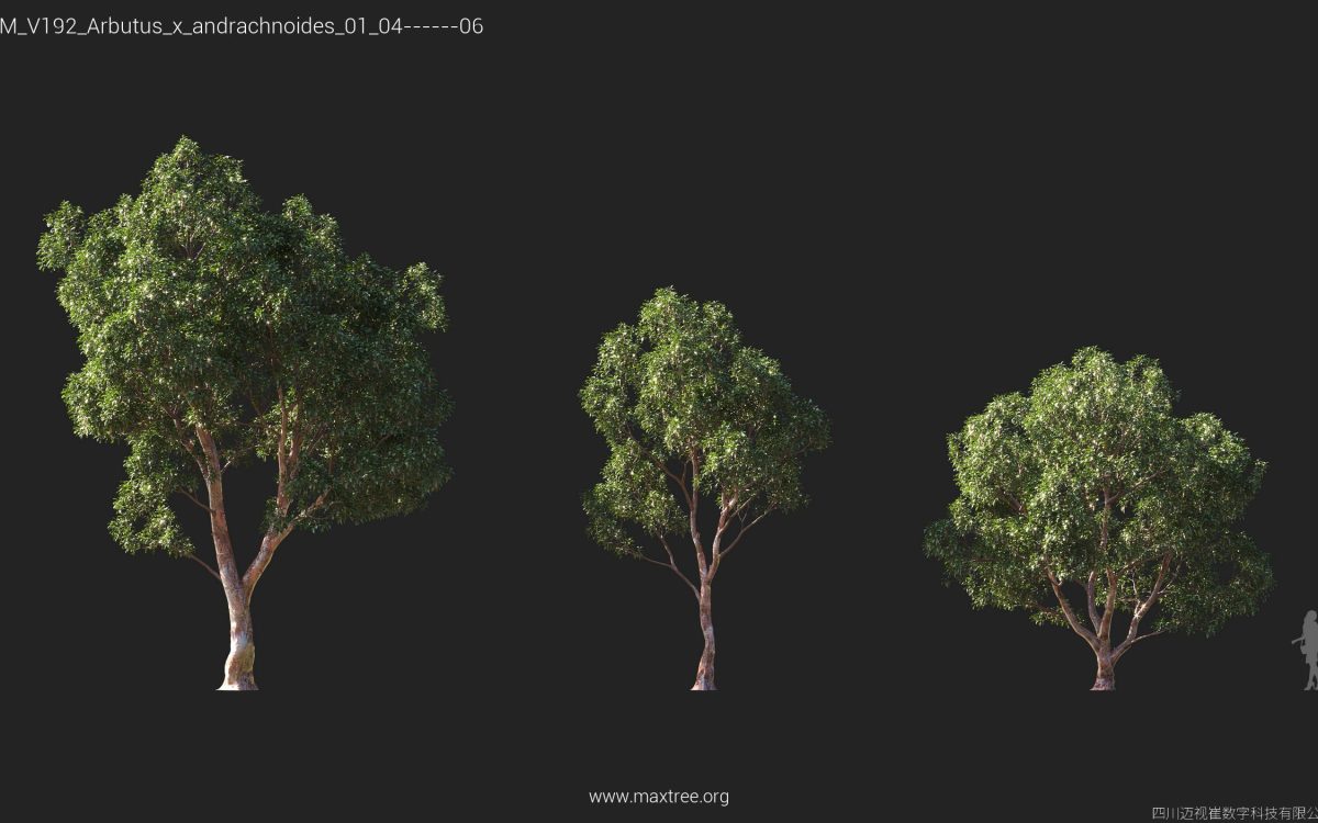 Plant Models Vol 192 - 图片 15