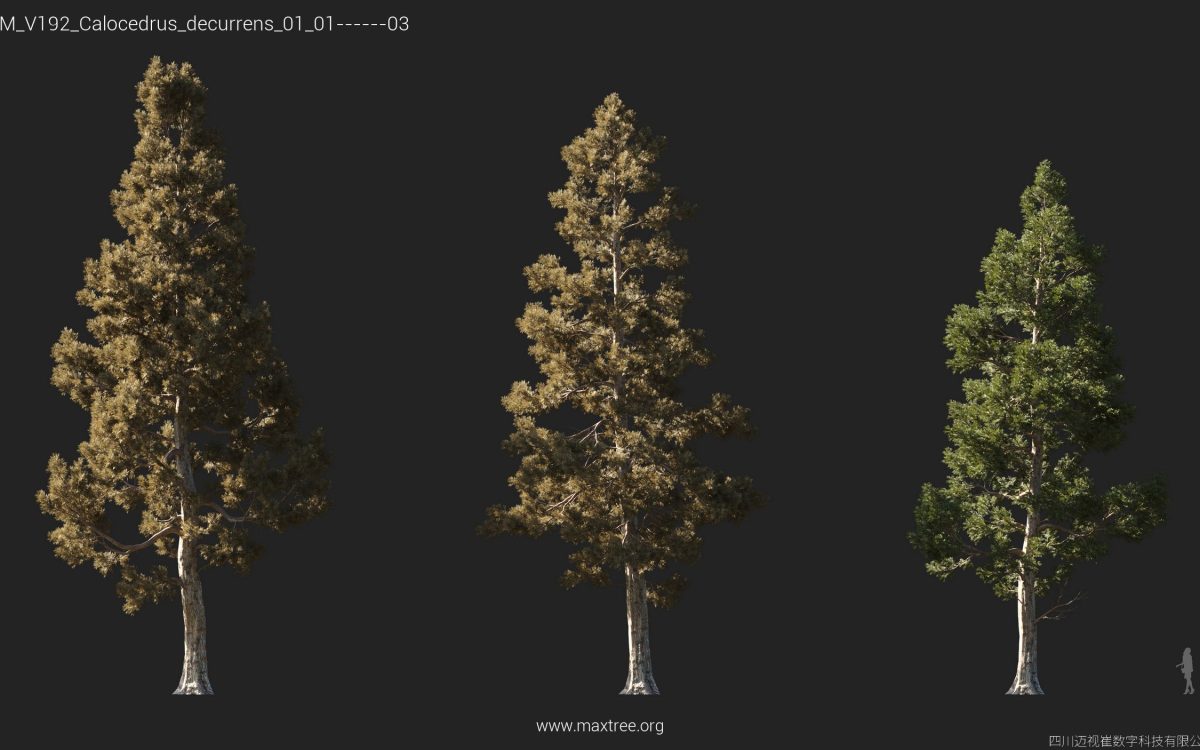 Plant Models Vol 192 - 图片 16
