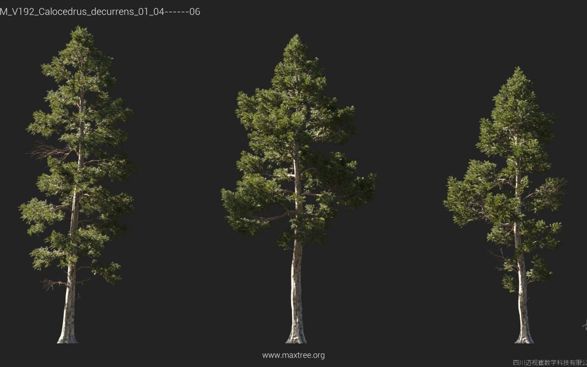 Plant Models Vol 192 - 图片 17